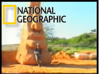 1 Breath Time Painring